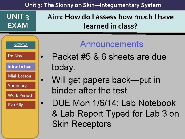 Unit 3: The Skinny on Skin—Integumentary System UNIT 3 EXAM AGENDA Do Now Introduction