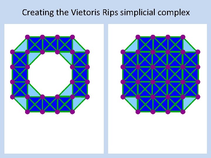 Creating the Vietoris Rips simplicial complex 