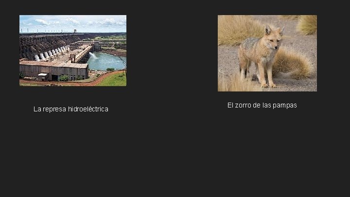 La represa hidroeléctrica El zorro de las pampas 
