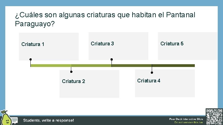 ¿Cuáles son algunas criaturas que habitan el Pantanal Paraguayo? Criatura 3 Criatura 1 Criatura