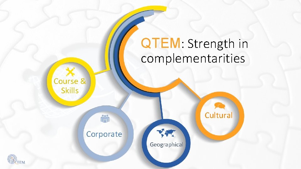 QTEM: Strength in complementarities Course & Skills Cultural Corporate Geographical 