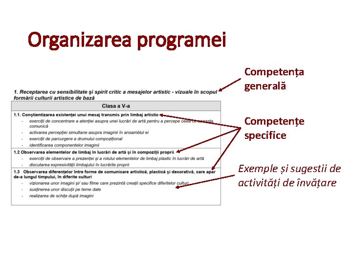 Organizarea programei Competența generală Competențe specifice Exemple și sugestii de activități de învățare Organizarea programei Competența generală Competențe specifice Exemple și sugestii de activități de învățare
