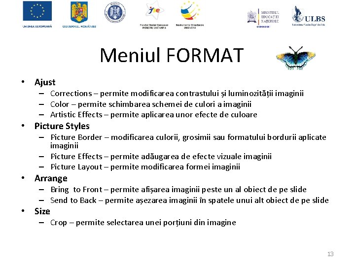 Meniul FORMAT • Ajust – Corrections – permite modificarea contrastului și luminozității imaginii –