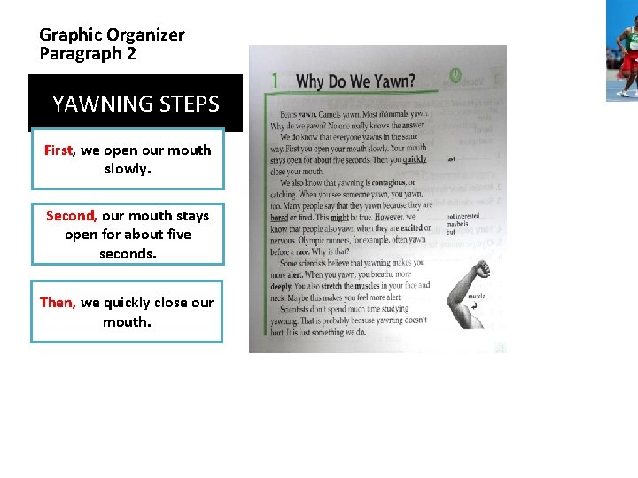 Graphic Organizer Paragraph 2 YAWNING STEPS First, we open our mouth slowly. Second, our