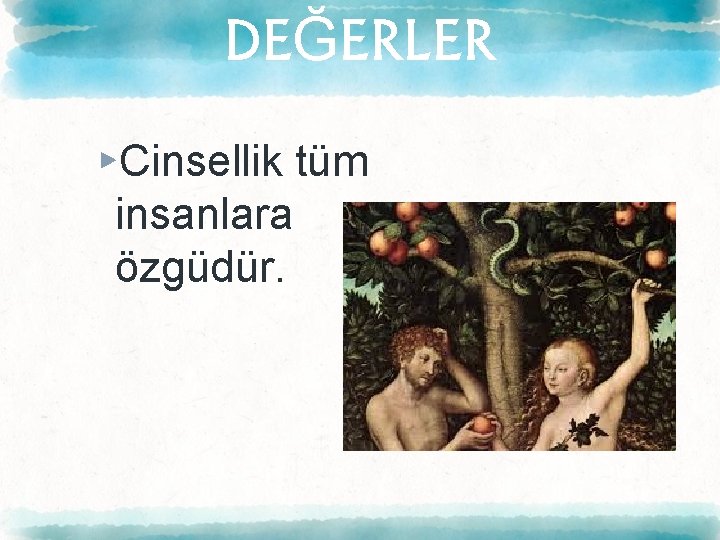 DEĞERLER ▸Cinsellik tüm insanlara özgüdür. 