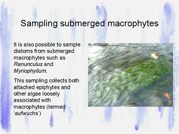 Sampling submerged macrophytes It is also possible to sample diatoms from submerged macrophytes such