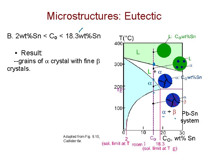 Microstructures: Eutectic B. 2 wt%Sn < Co < 18. 3 wt%Sn • Result: --grains Microstructures: Eutectic B. 2 wt%Sn < Co < 18. 3 wt%Sn • Result: --grains