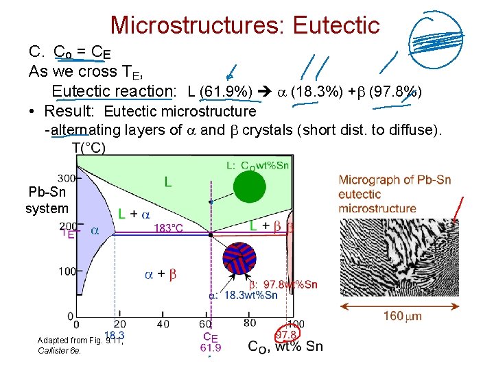 Microstructures: Eutectic C. Co = CE As we cross TE, Eutectic reaction: L (61. Microstructures: Eutectic C. Co = CE As we cross TE, Eutectic reaction: L (61.