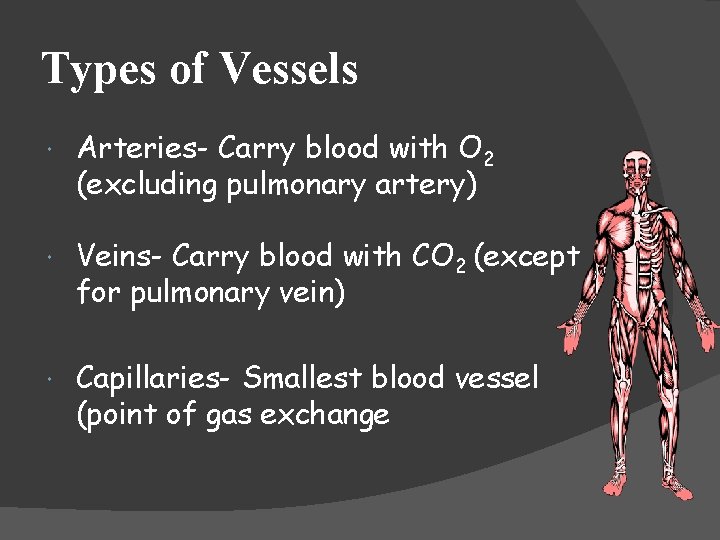 Types of Vessels Arteries- Carry blood with O 2 (excluding pulmonary artery) Veins- Carry