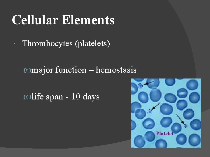 Cellular Elements Thrombocytes (platelets) major function – hemostasis life span - 10 days 