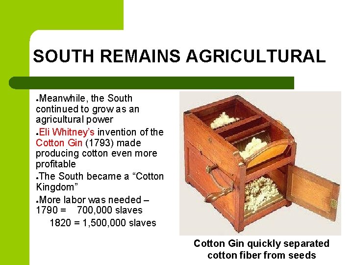 SOUTH REMAINS AGRICULTURAL Meanwhile, the South continued to grow as an agricultural power ●Eli SOUTH REMAINS AGRICULTURAL Meanwhile, the South continued to grow as an agricultural power ●Eli