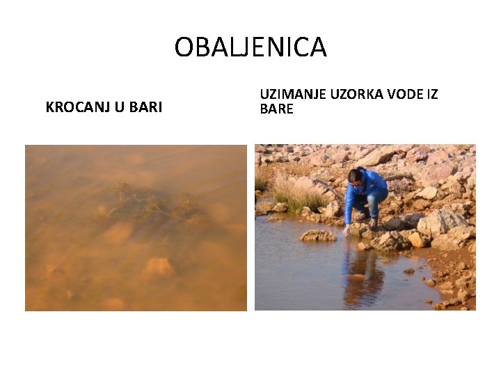 OBALJENICA KROCANJ U BARI UZIMANJE UZORKA VODE IZ BARE 