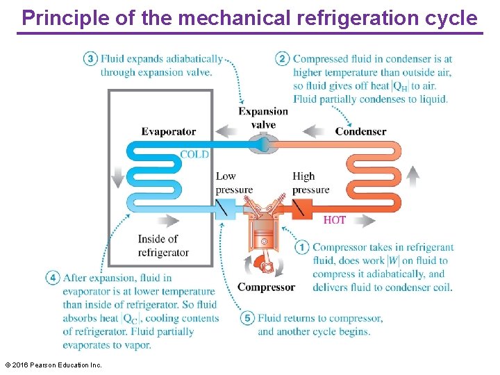 Principle of the mechanical refrigeration cycle © 2016 Pearson Education Inc. 