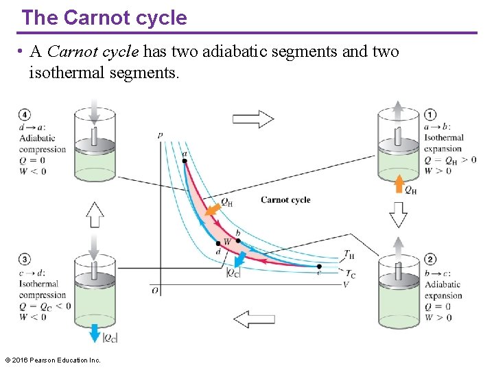 The Carnot cycle • A Carnot cycle has two adiabatic segments and two isothermal