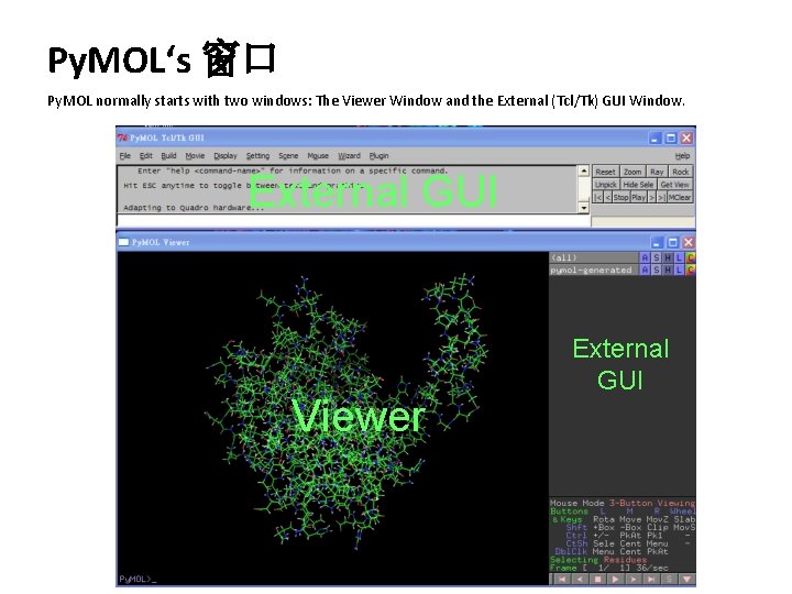 Py. MOL‘s 窗口 Py. MOL normally starts with two windows: The Viewer Window and