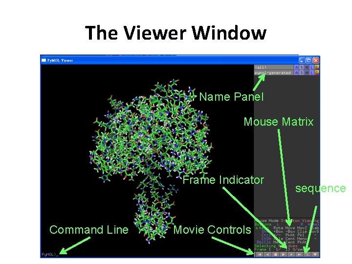 The Viewer Window Name Panel Mouse Matrix Frame Indicator Command Line Movie Controls sequence