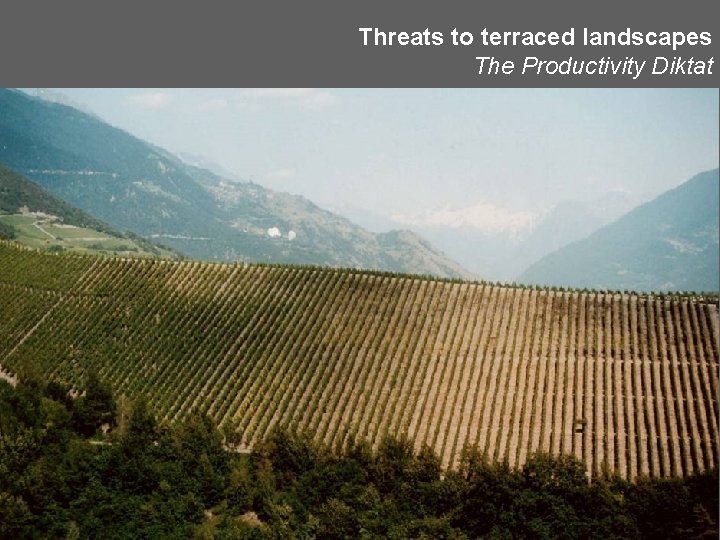 Threats to terraced landscapes The Productivity Diktat 