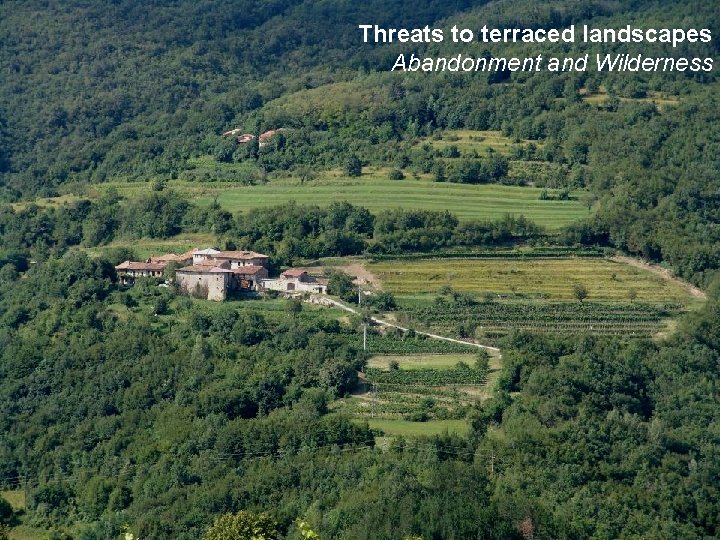 Threats to terraced landscapes Abandonment and Wilderness 