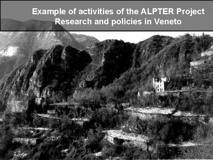 Example of activities of the ALPTER Project Research and policies in Veneto 