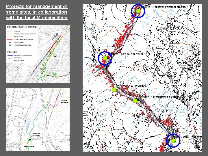 Projects for management of some sites, in collaboration with the local Municipalities 