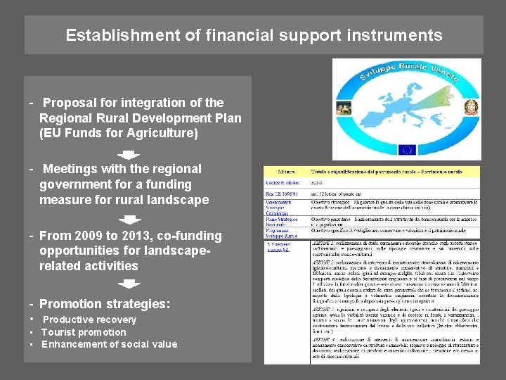 Establishment of financial support instruments - Proposal for integration of the Regional Rural Development