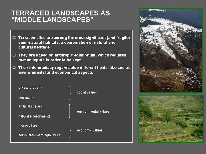 TERRACED LANDSCAPES AS “MIDDLE LANDSCAPES” q Terraced sites are among the most significant (and