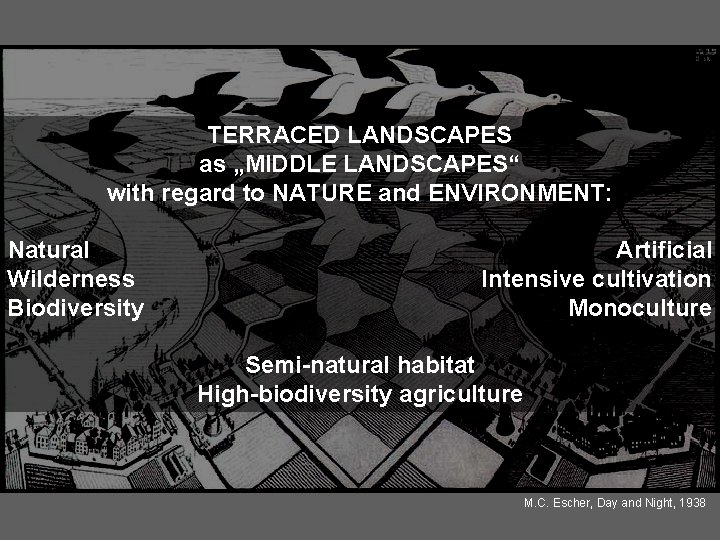TERRACED LANDSCAPES as „MIDDLE LANDSCAPES“ with regard to NATURE and ENVIRONMENT: Natural Wilderness Biodiversity