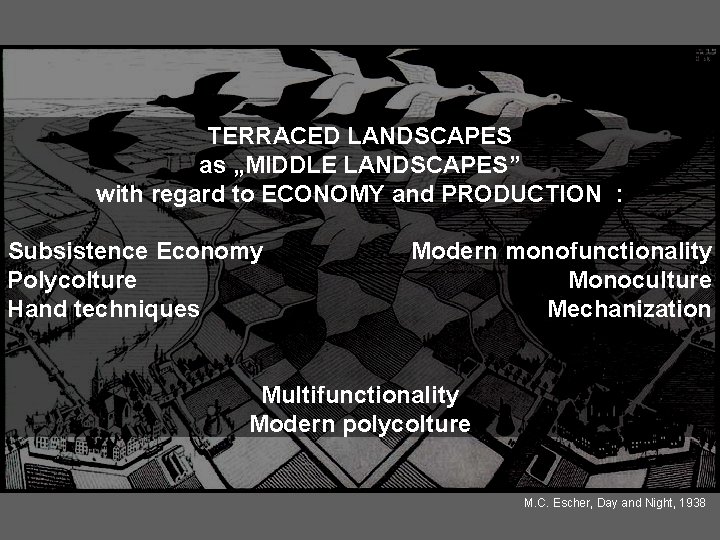 TERRACED LANDSCAPES as „MIDDLE LANDSCAPES” with regard to ECONOMY and PRODUCTION : Subsistence Economy