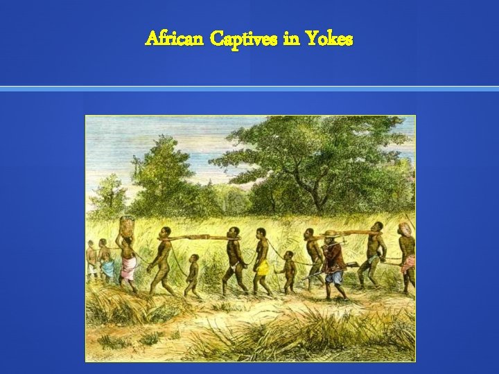 African Captives in Yokes 