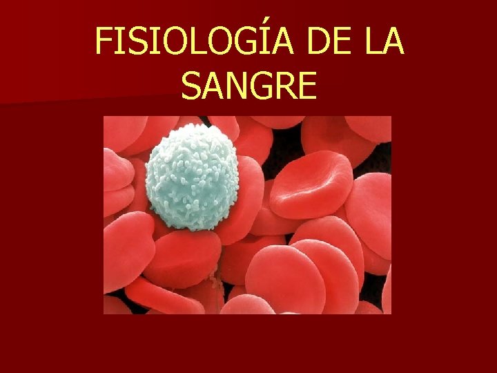 FISIOLOGÍA DE LA SANGRE 