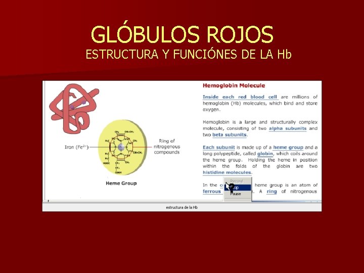 GLÓBULOS ROJOS ESTRUCTURA Y FUNCIÓNES DE LA Hb 