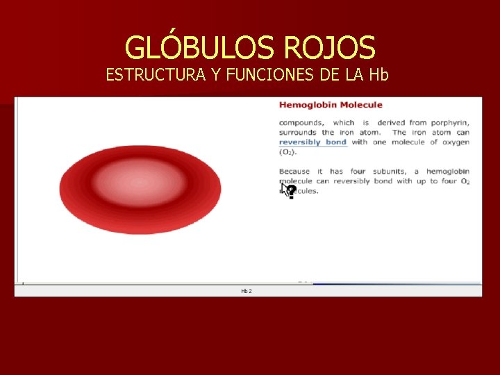 GLÓBULOS ROJOS ESTRUCTURA Y FUNCIONES DE LA Hb 