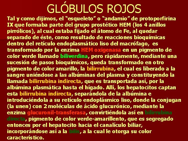 GLÓBULOS ROJOS Tal y como dijimos, el “esqueleto” o “andamio” de protoporfirina IX que