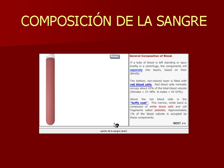 COMPOSICIÓN DE LA SANGRE 