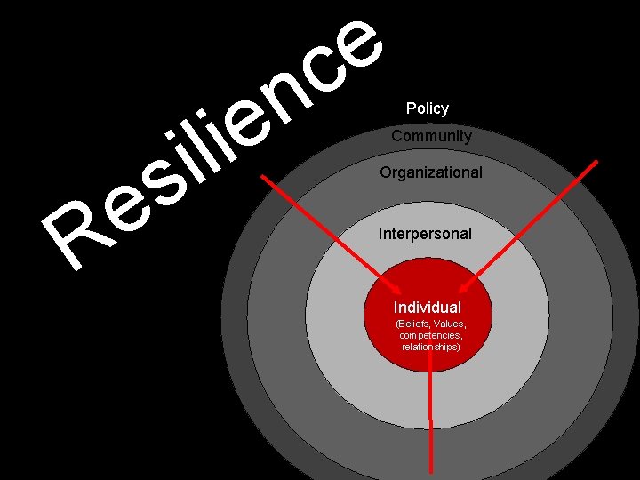 e c R n e i l i s e Policy Community Organizational Interpersonal