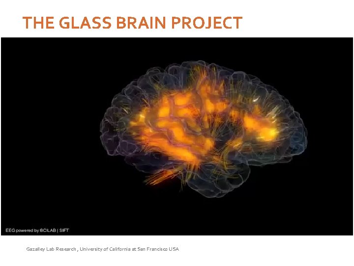 THE GLASS BRAIN PROJECT Gazalley Lab Research , University of California at San Francisco