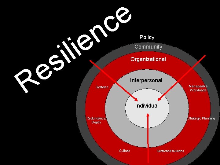 e c R n e i l i s e Policy Community Organizational Interpersonal