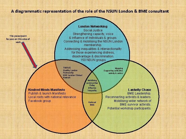 A diagrammatic representation of the role of the NSUN London & BME consultant This