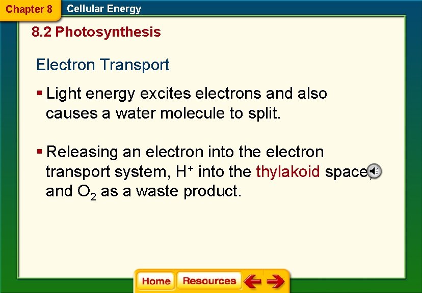 Chapter 8 Cellular Energy 8. 2 Photosynthesis Electron Transport § Light energy excites electrons