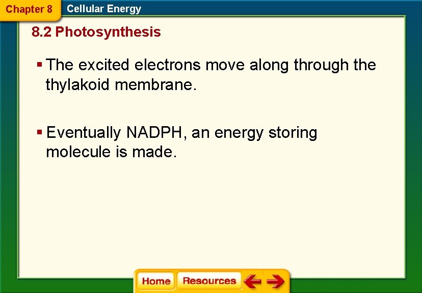 Chapter 8 Cellular Energy 8. 2 Photosynthesis § The excited electrons move along through