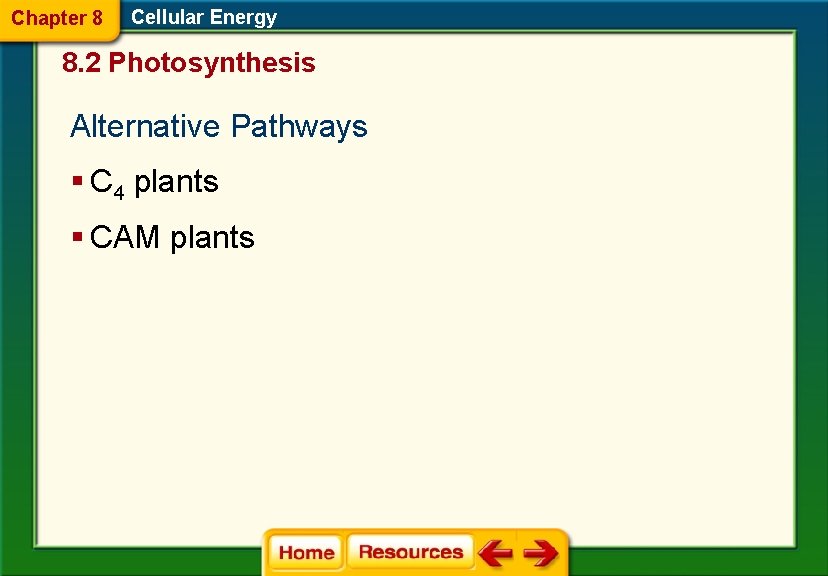 Chapter 8 Cellular Energy 8. 2 Photosynthesis Alternative Pathways § C 4 plants §