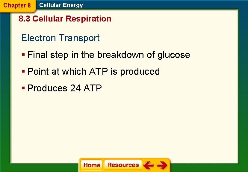 Chapter 8 Cellular Energy 8. 3 Cellular Respiration Electron Transport § Final step in