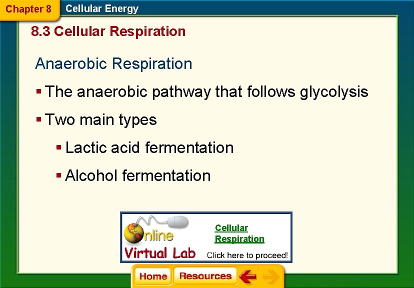 Chapter 8 Cellular Energy 8. 3 Cellular Respiration Anaerobic Respiration § The anaerobic pathway