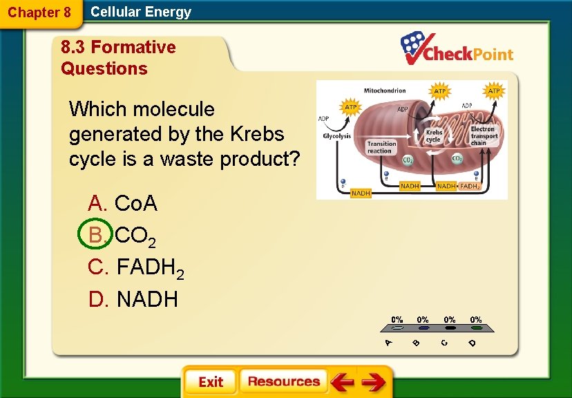 Chapter 8 Cellular Energy 8. 3 Formative Questions Which molecule generated by the Krebs