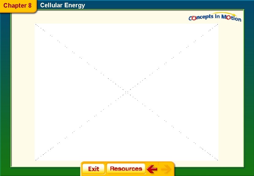 Chapter 8 Cellular Energy 