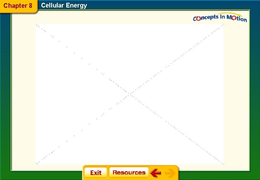 Chapter 8 Cellular Energy 