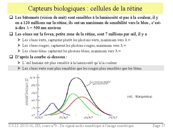 Capteurs biologiques : cellules de la rétine q Les bâtonnets (vision de nuit) sont