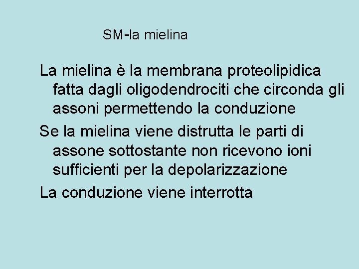 SM-la mielina La mielina è la membrana proteolipidica fatta dagli oligodendrociti che circonda gli