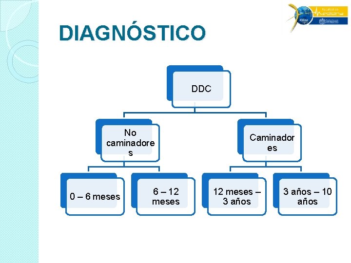 DIAGNÓSTICO DDC No caminadore s 0 – 6 meses 6 – 12 meses Caminador DIAGNÓSTICO DDC No caminadore s 0 – 6 meses 6 – 12 meses Caminador