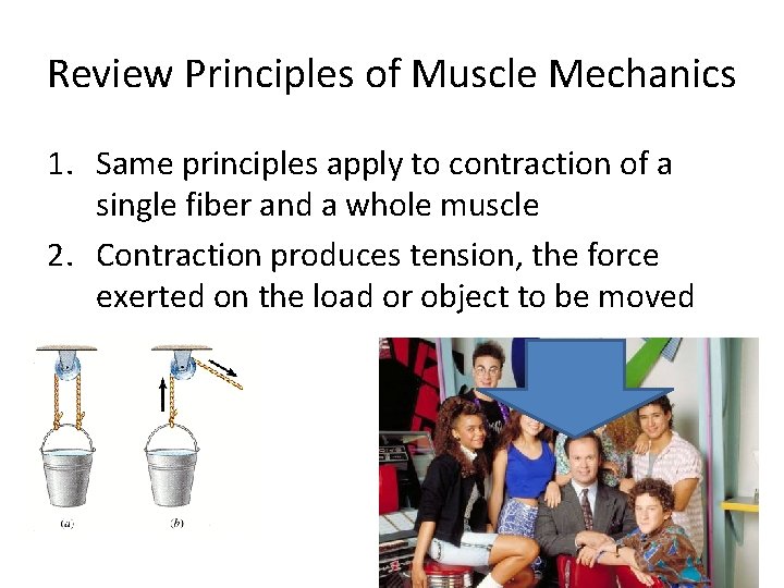 Review Principles of Muscle Mechanics 1. Same principles apply to contraction of a single